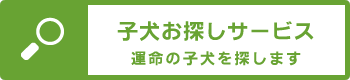 子犬お探しサービス