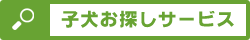 子犬お探し