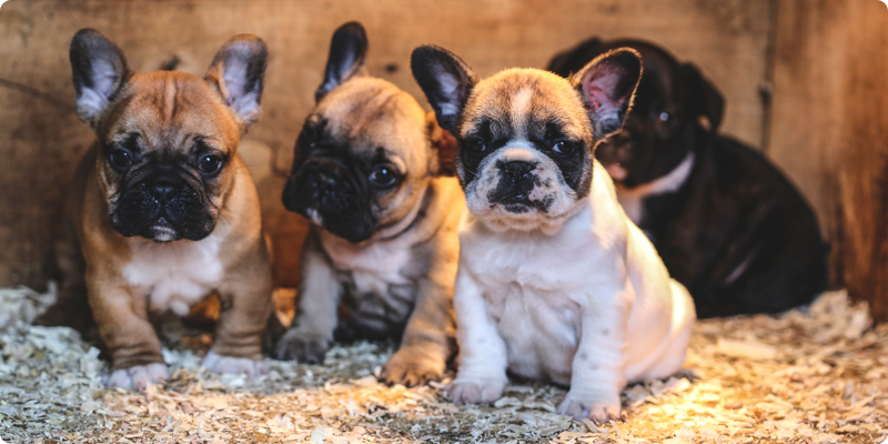 お支払い/お引渡しについて01