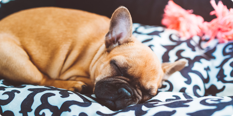 お支払い/お引渡しについて02